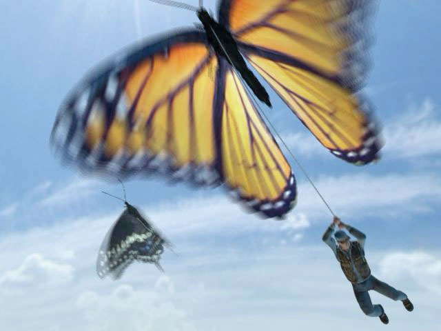 Escape by butterfly
